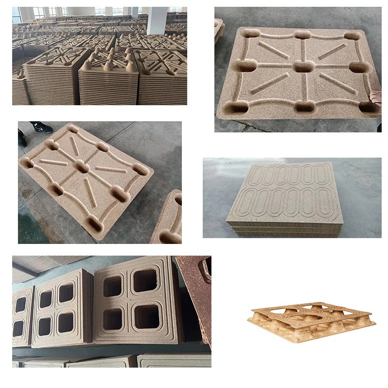 Large plant fiber pallet hydraulic press Compression molding process