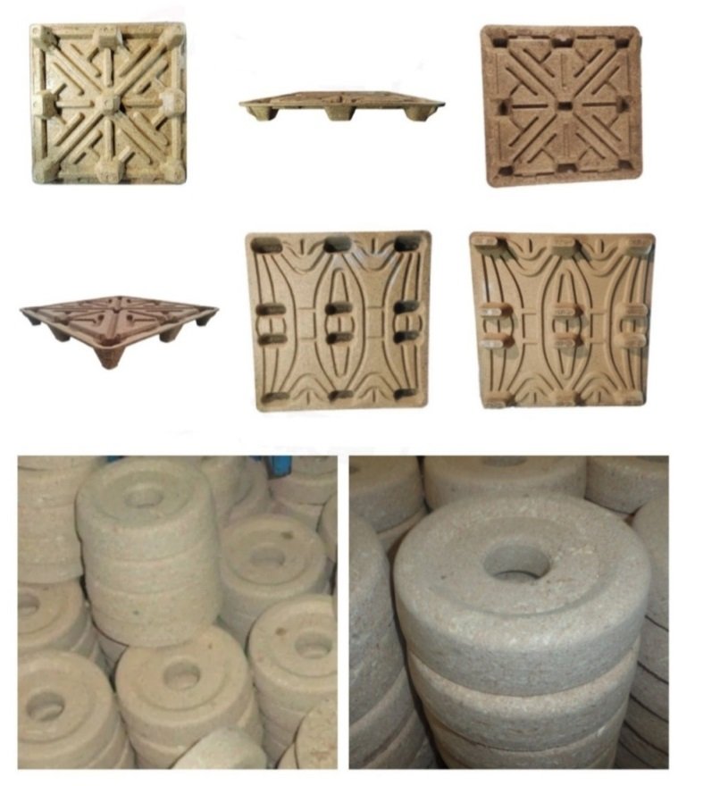 Wood chip tray forming equipment Compression molding process