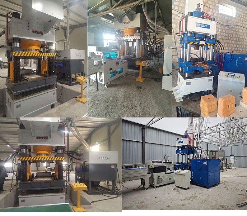 2-5kg Automatic 315 Ton Livestock Salt Lick Block Forming Machine Customer Case